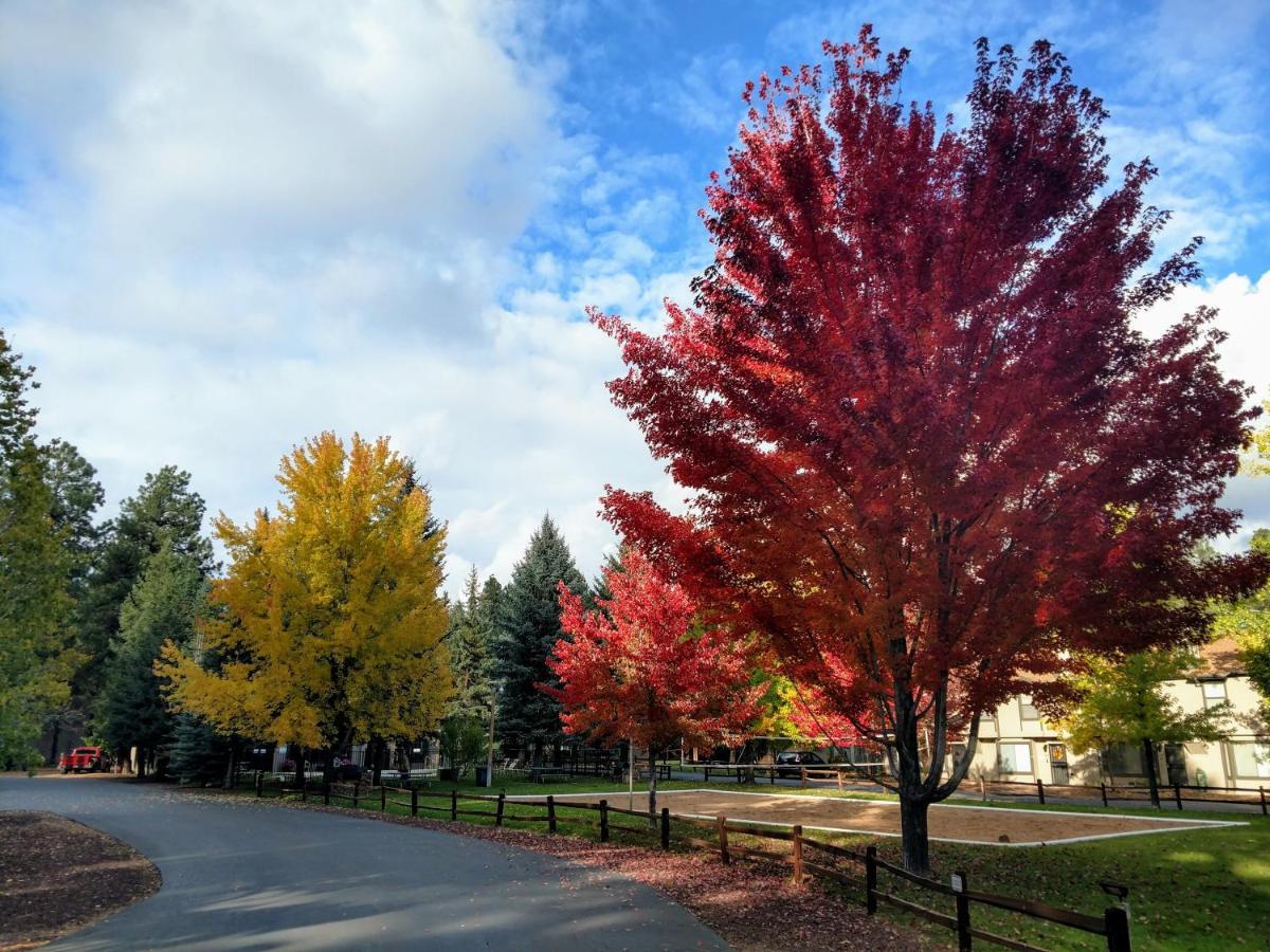 Your Home Away From Home! Pinetop-Lakeside Dış mekan fotoğraf